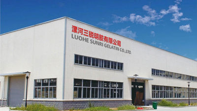 중국 Luohe Sunri Gelatin Co.,LTD. 회사 프로필